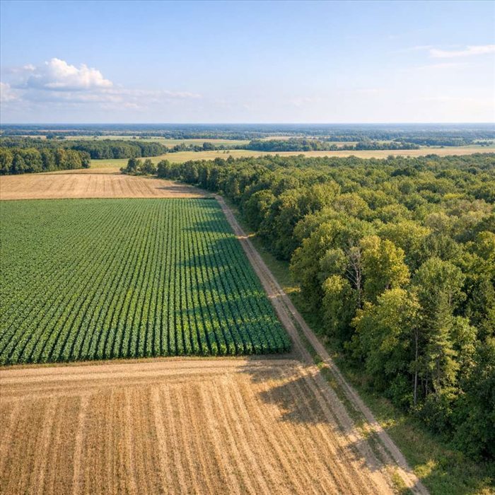40 acres en hectares : conversion rapide et exacte
