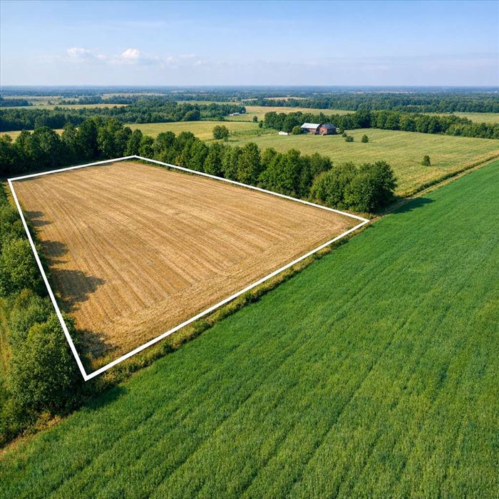 10 acres en hectares : conversion simple et rapide