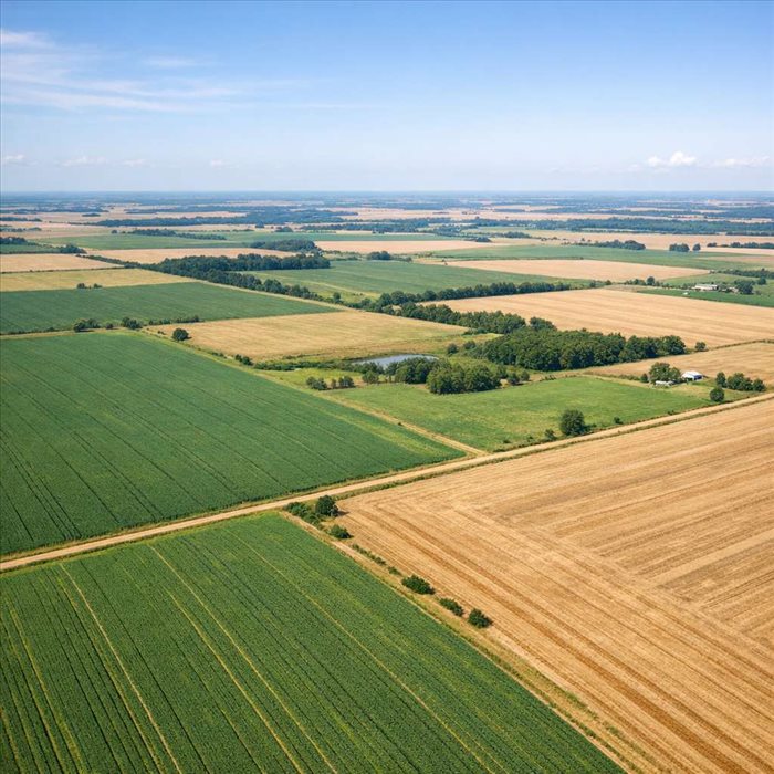 1000 acres en hectares : conversion exacte et équivalence