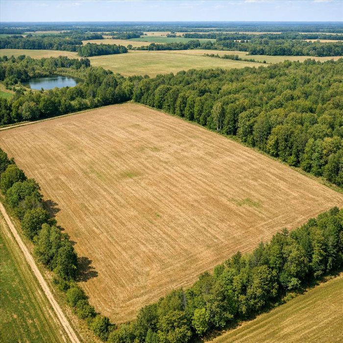 50 acres en hectares : conversion exacte et facile